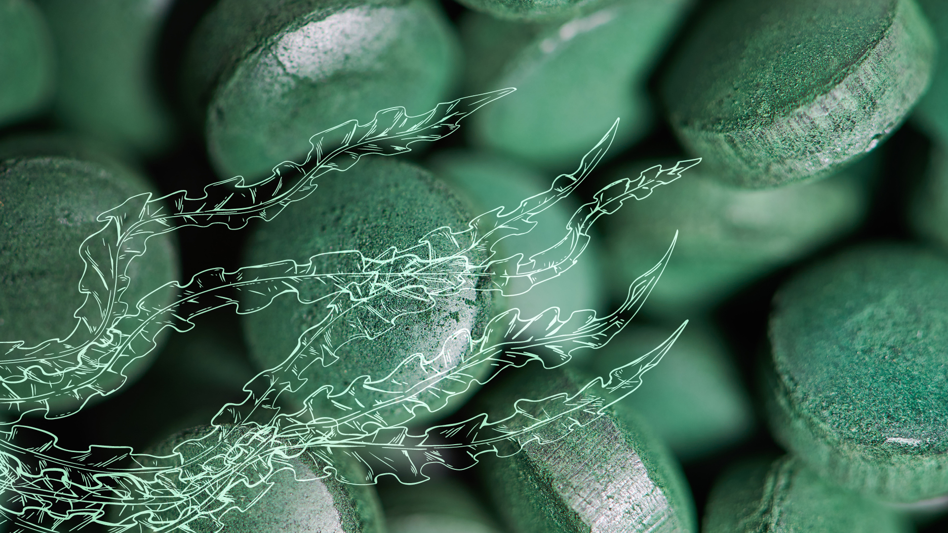 ALGAVITAL: Bio Algen Supplements für jeden Tag