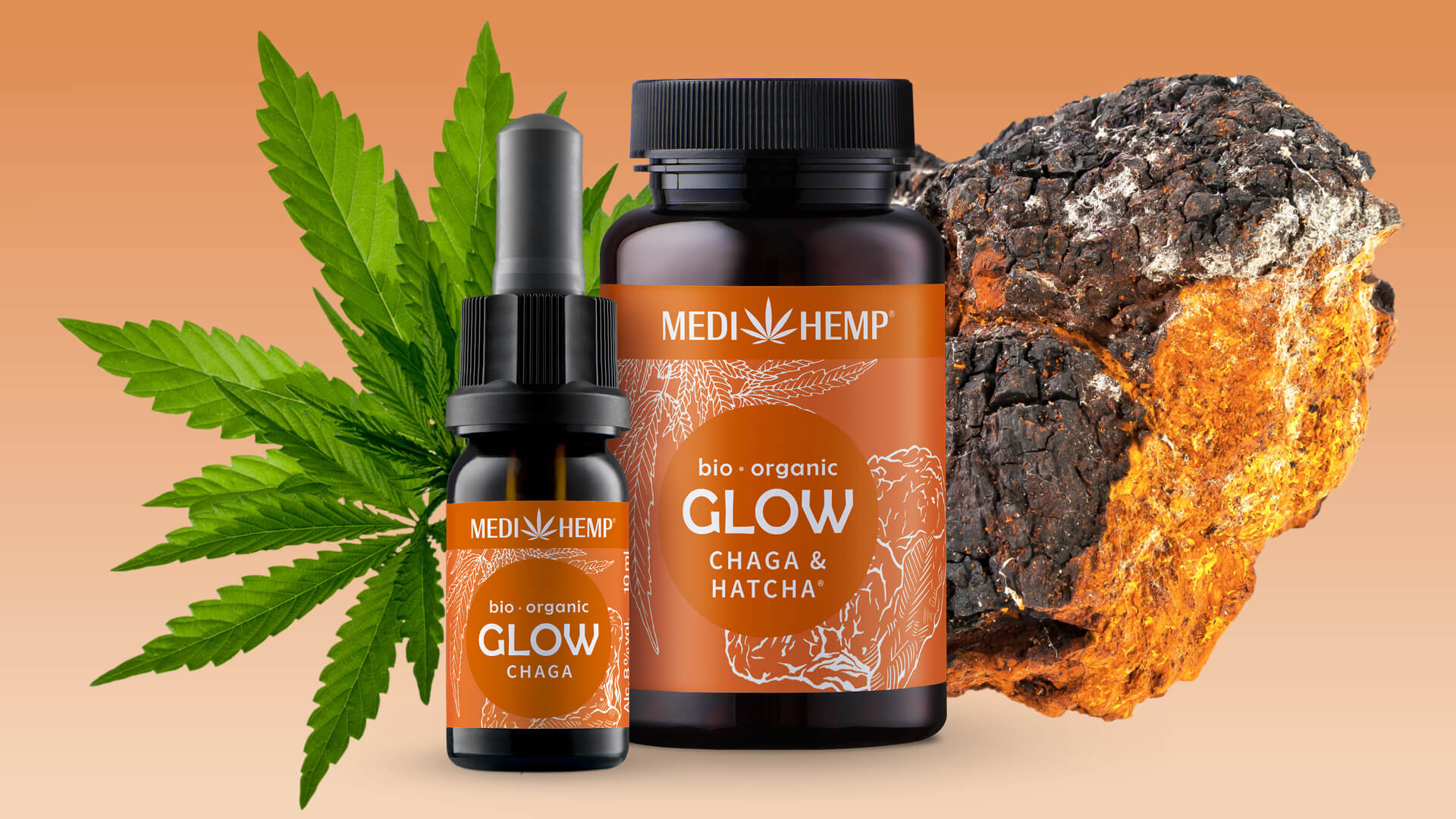 Chaga: Der Pilz, der dich strahlen lässt