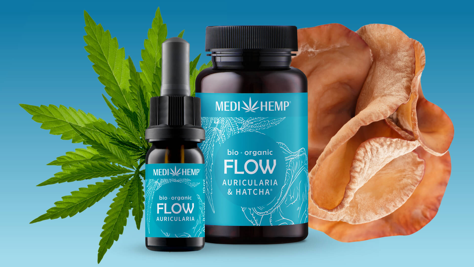 Auricularia: Der Pilz, der deinen Körper im Flow hält