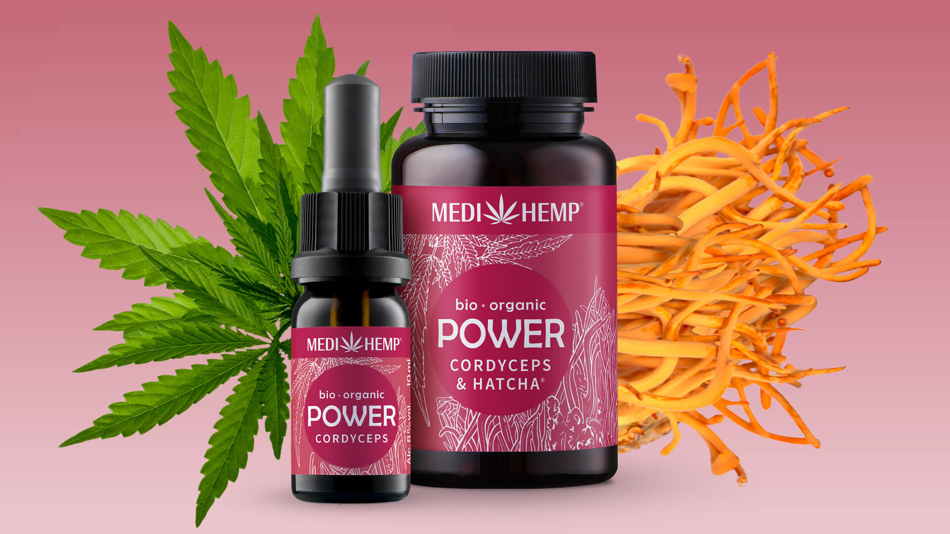 Cordyceps: Der Power Pilz