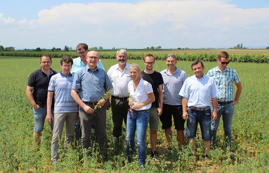 Agricultural experts on info visit