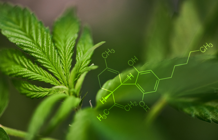 Was ist CBD? (Cannabidiol)