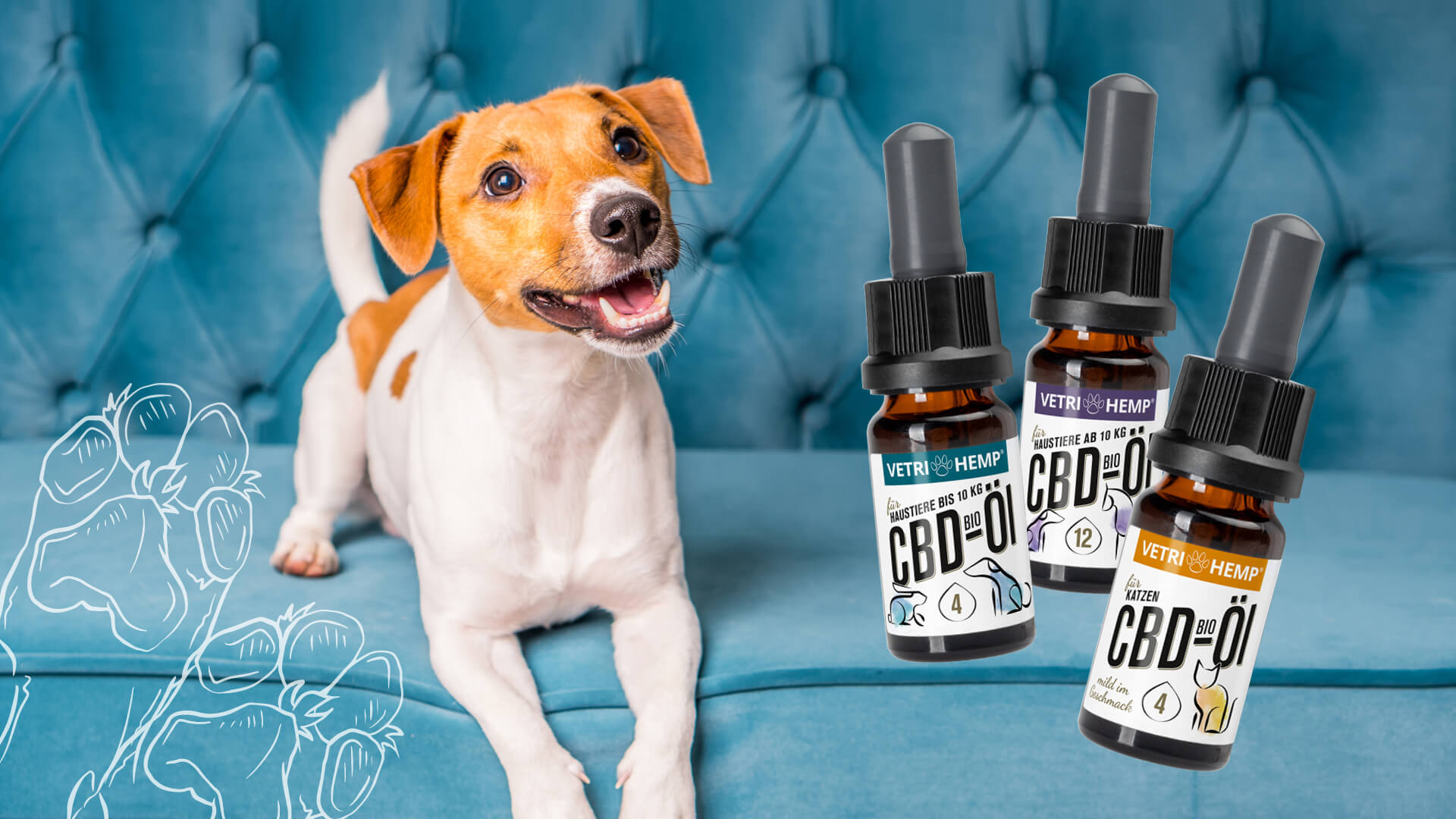 CBD for animals: everything you need to know about the right choice and use.
