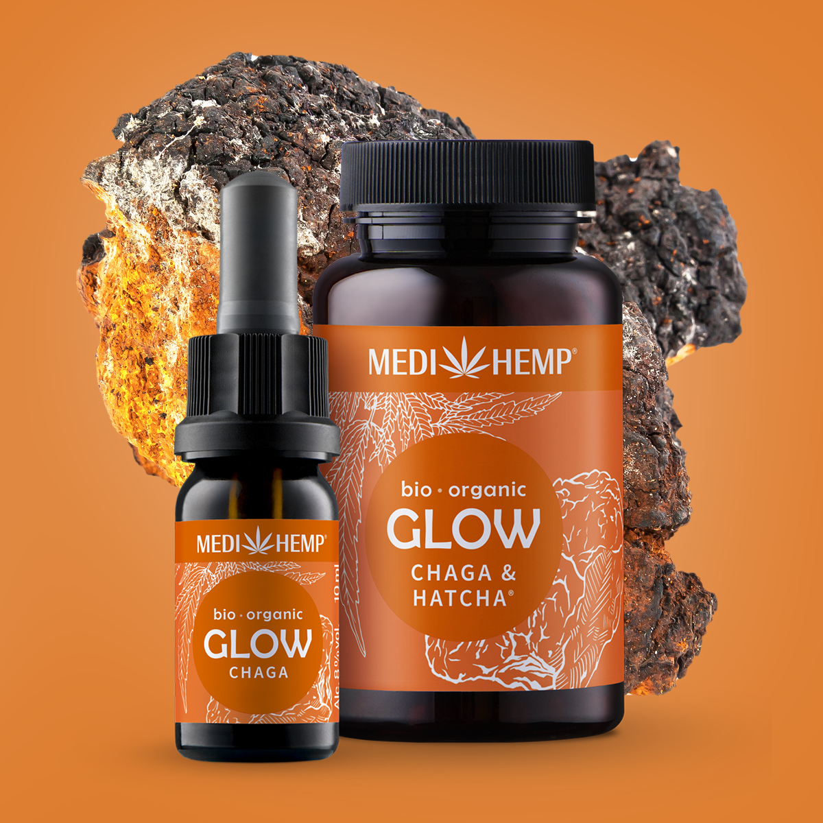 Bio GLOW Chaga & Hanf