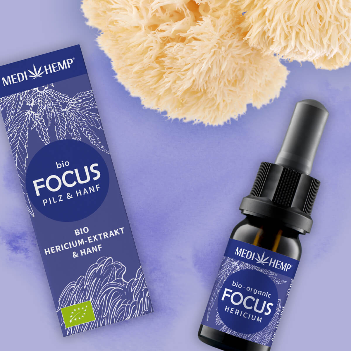 Bio FOCUS Hericum Extrakt & Hanf