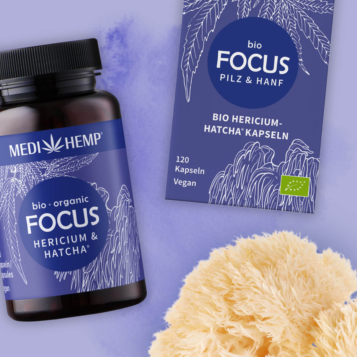 Bio FOCUS Hericium Kapseln