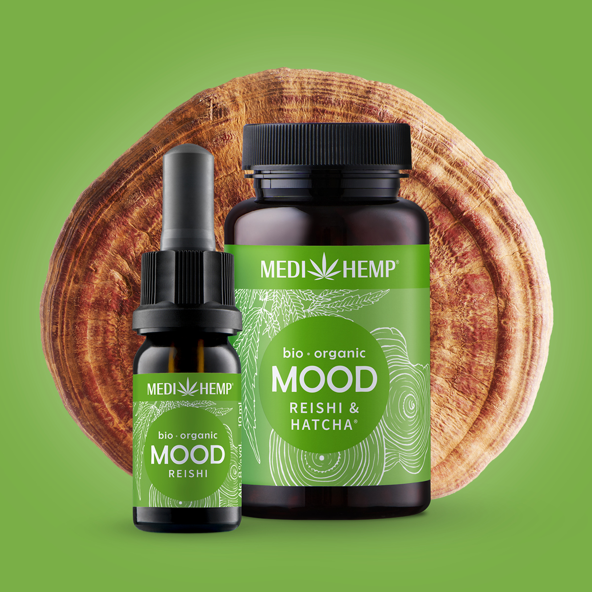 Bio MOOD Reishi & Hanf